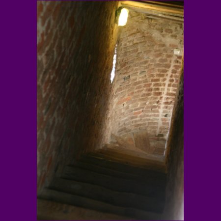 IMG_4620.JPG