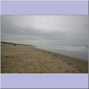 IMG_0891.JPG