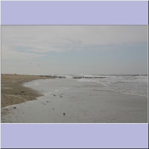 IMG_0907.JPG