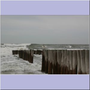 IMG_0931.JPG